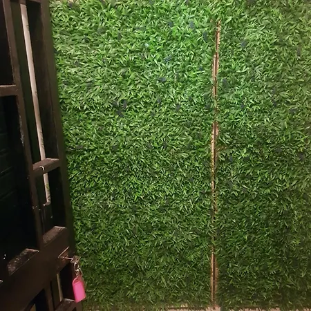 Appartamento Residenza Trevisani